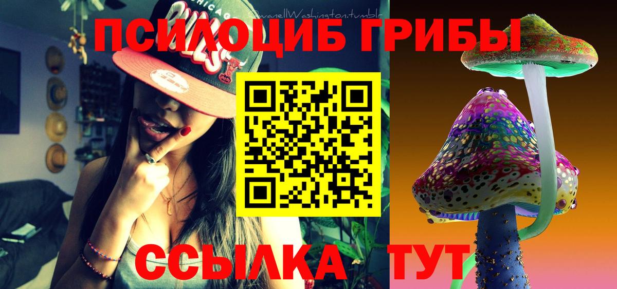 Галлюциногенные грибы Psilocybe  Вход с VPN  Чита 