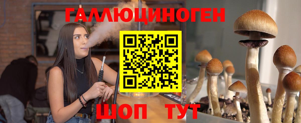 Галлюциногенные грибы мухоморы Чита